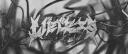 Discovery splash banner for Lieless Discord server