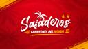 Discovery splash banner for ⭐⭐╵╷Saladeros ²⁰²⁶ Discord server